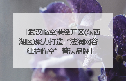 武汉临空港经开区(东西湖区)聚力打造“法润网谷 律护临空”普法品牌